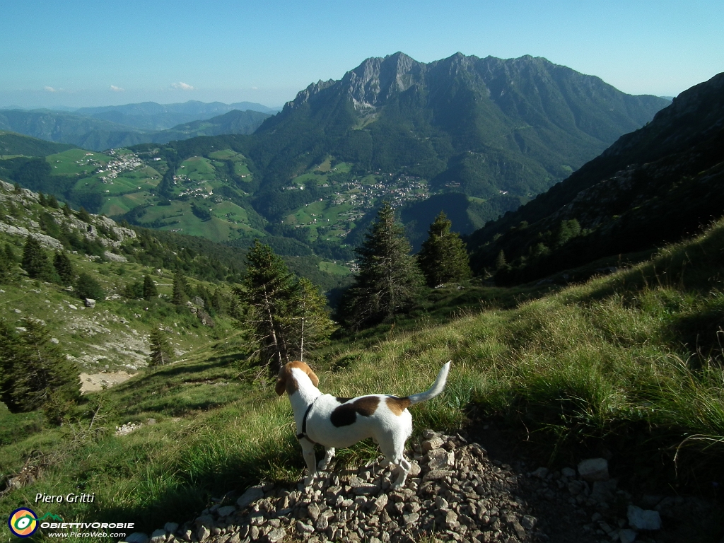 96 Oltre il Colle , Zambla, Passo di Zambla, Alben di fronte a noi....JPG